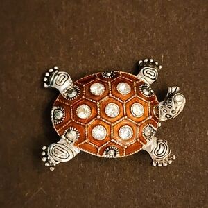 Turtle brooch